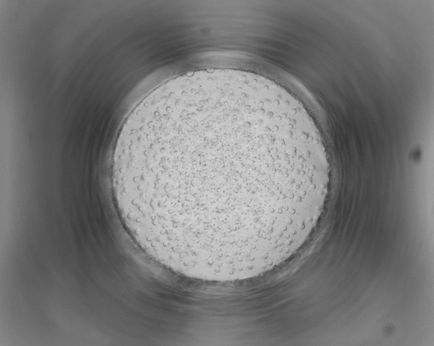 X0000116761386201001281603