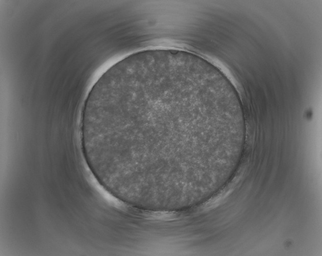 X0000116761387201001281603