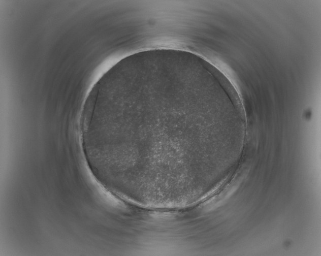 X0000116761389201001281603