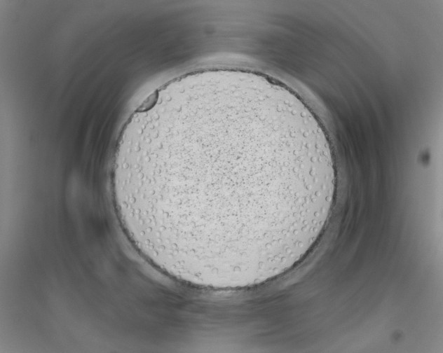 X0000116761390201001281603