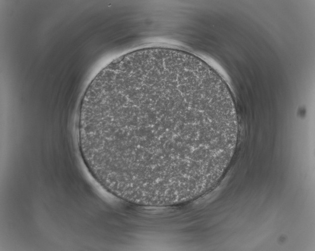 X0000116761391201001281603