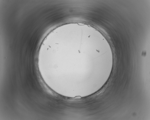 X0000116761392201001281603