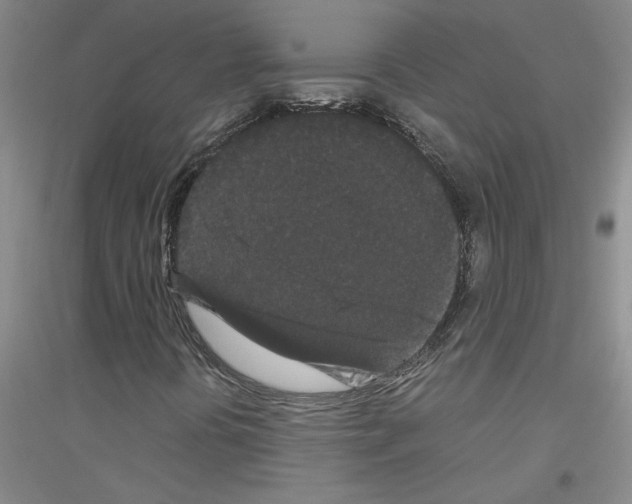 X0000116761394201001281602