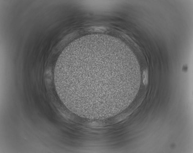 X0000116761395201001281602