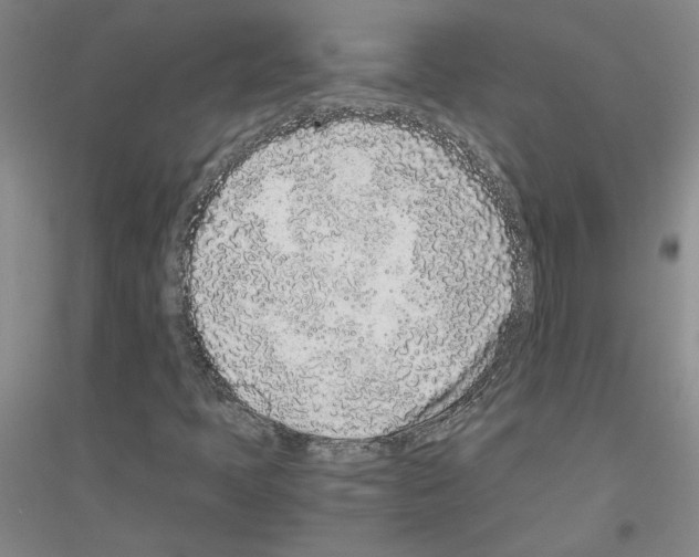 X0000116761397201001281602