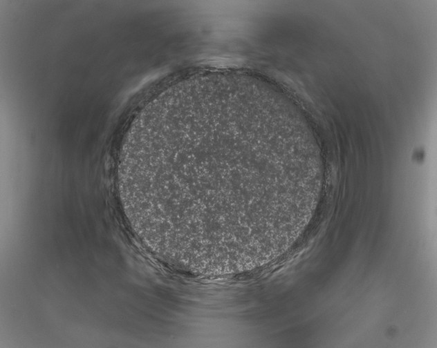 X0000116761398201001281602