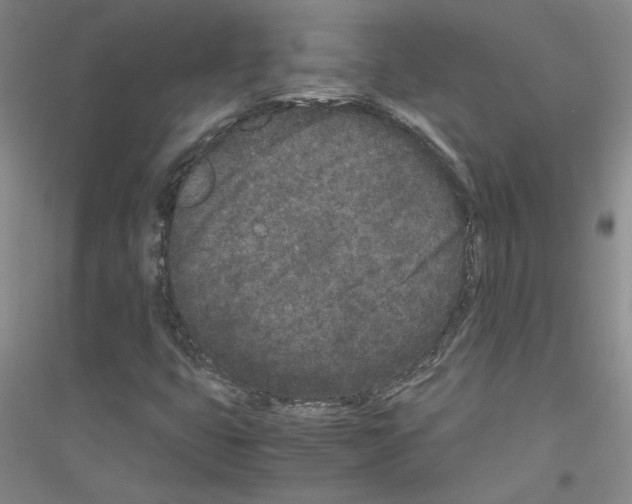 X0000116761399201001281602