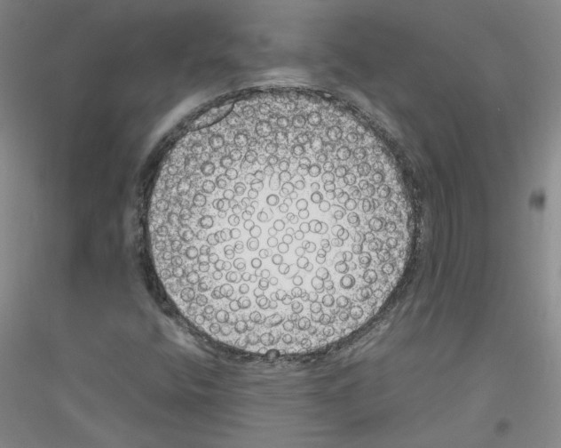 X0000116761400201001281602