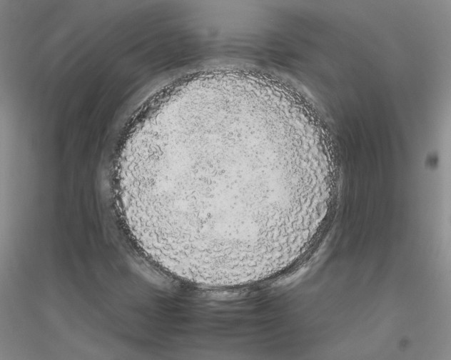 X0000116761401201001281602