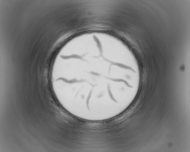 X0000116761402201001281602