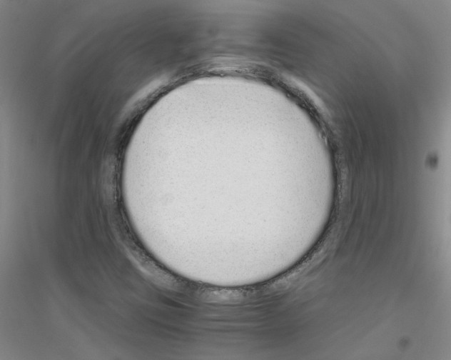 X0000116761403201001281602