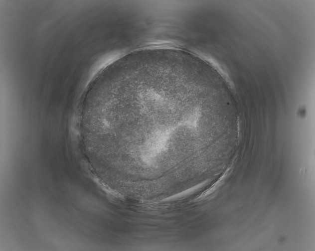 X0000116761405201001281602