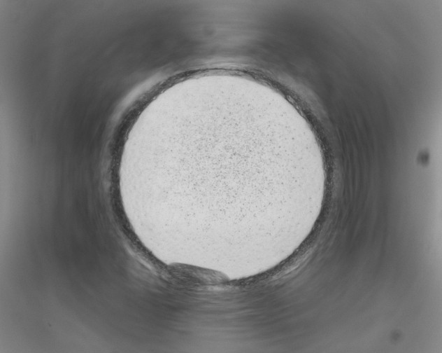 X0000116761406201001281602