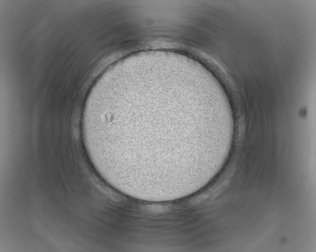 X0000116761409201001281602