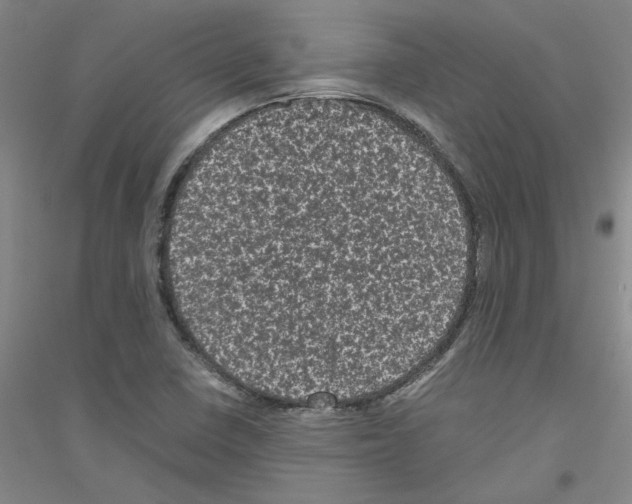 X0000116761410201001281602