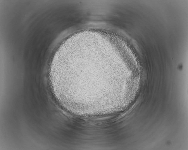 X0000116761411201001281602