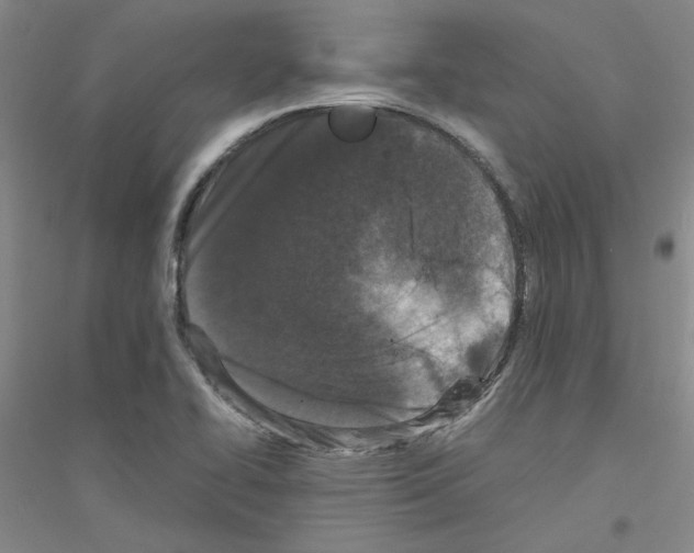 X0000116761414201001281602