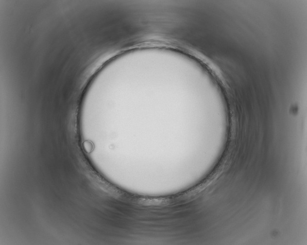 X0000116761415201001281602