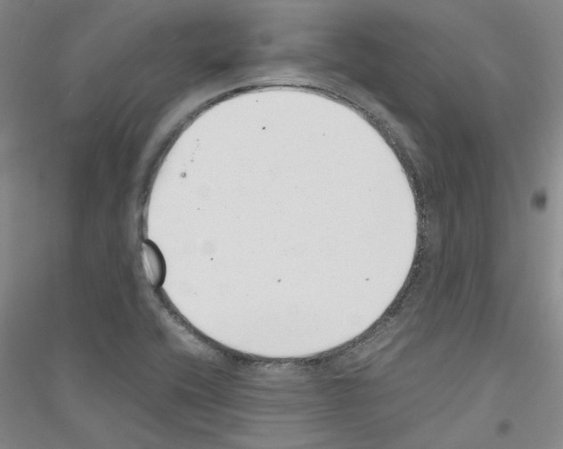 X0000116761416201001281602