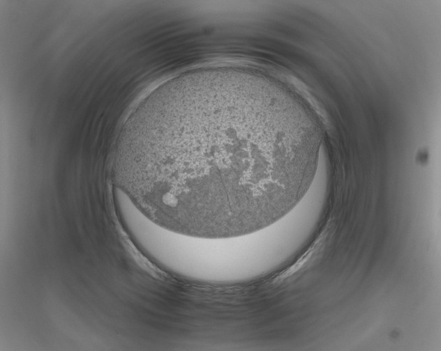 X0000116761417201001281602