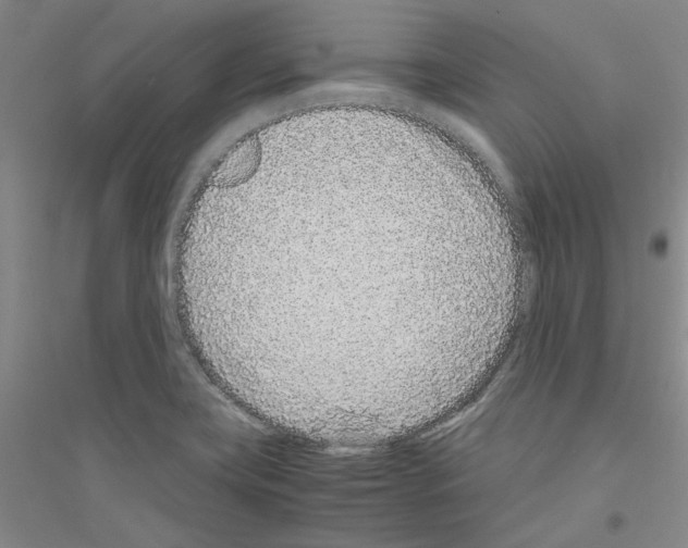 X0000116761419201001281602