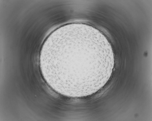 X0000116761420201001281602