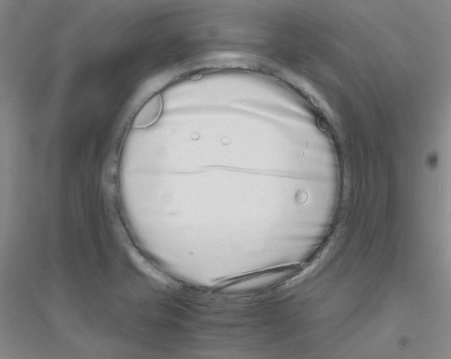 X0000116761421201001281602