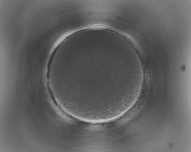 X0000116761422201001281602