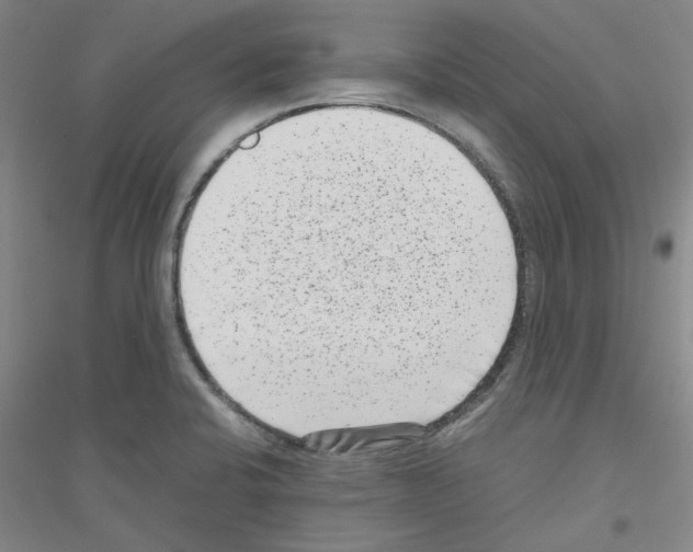 X0000116761424201001281602