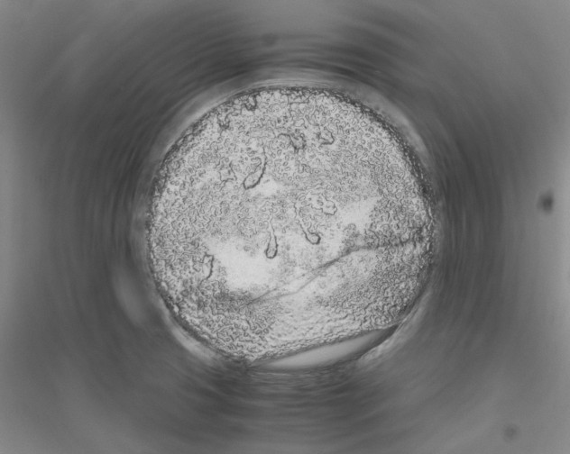 X0000116761425201001281602