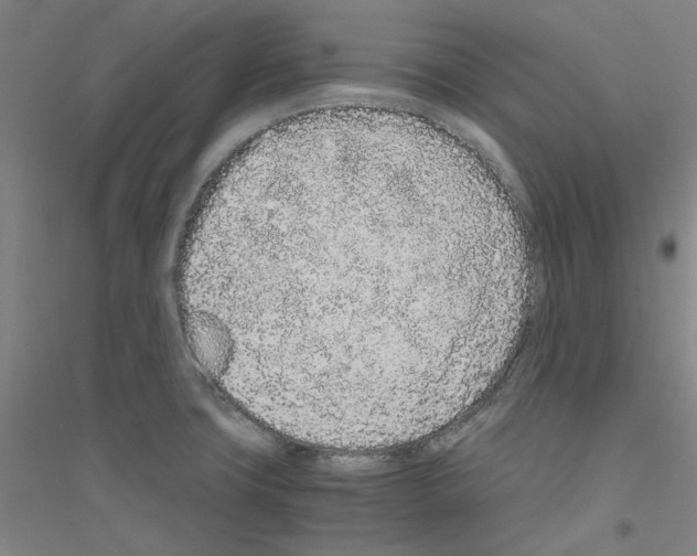 X0000116761427201001281602