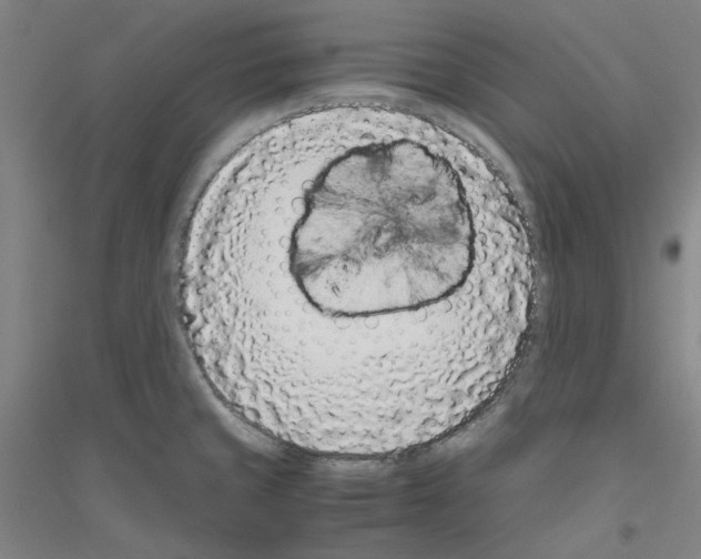 X0000116761429201001281602