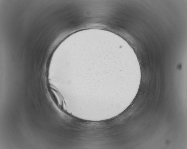 X0000116761430201001281602