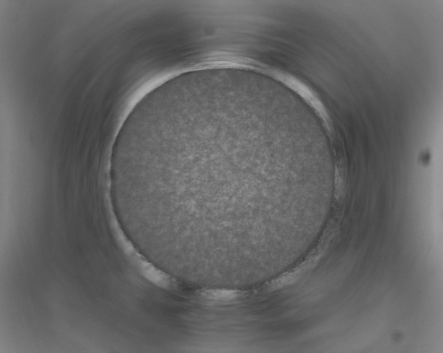 X0000116761431201001281602