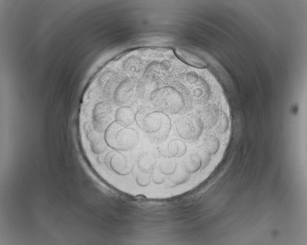 X0000116761432201001281602