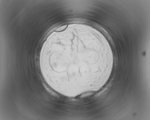 X0000116761433201001281602