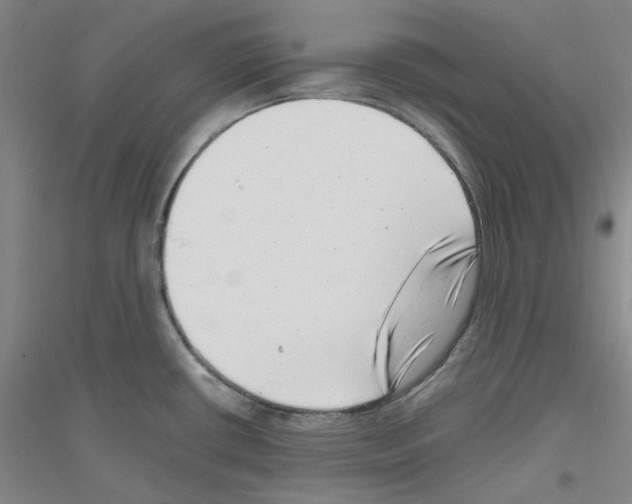 X0000116761434201001281602