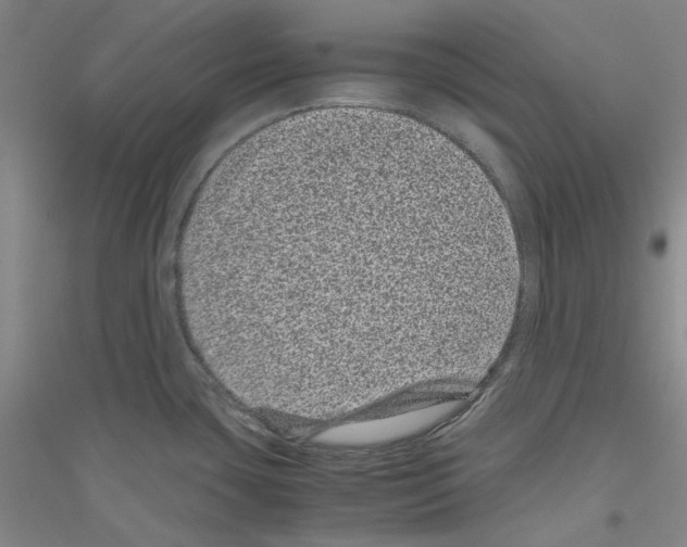 X0000116761435201001281602