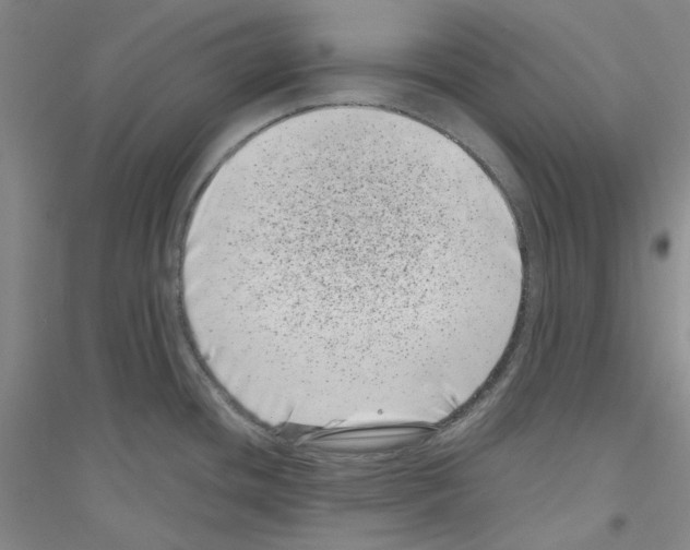 X0000116761436201001281602