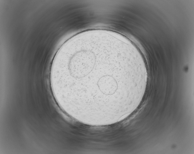 X0000116761437201001281602