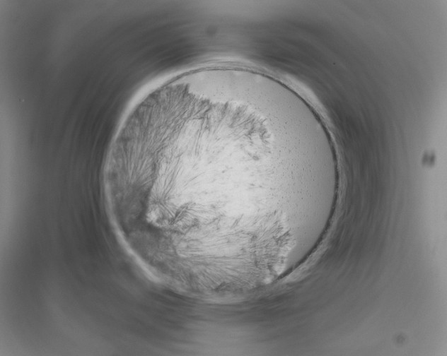 X0000116761440201001281602