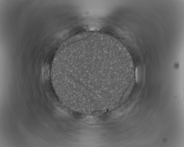 X0000116761443201001281602