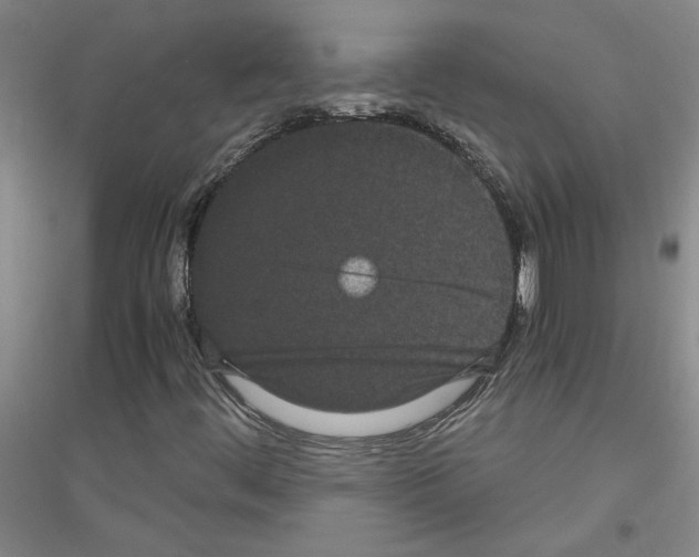 X0000116761444201001281602