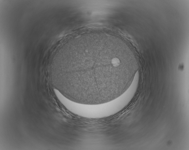 X0000116761445201001281602