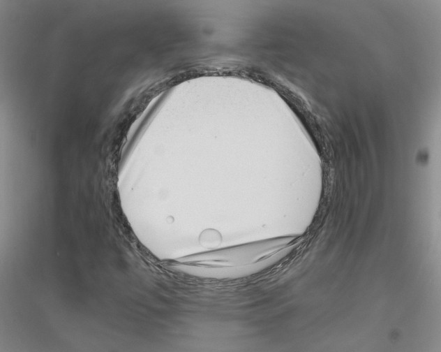 X0000116761447201001281602