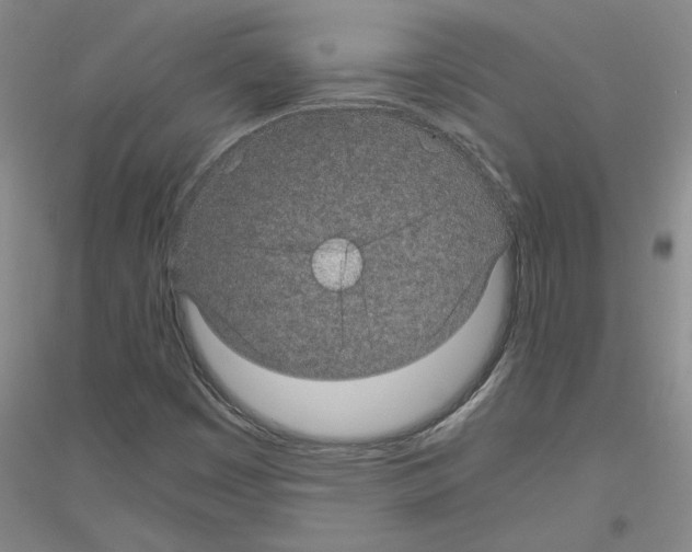 X0000116761449201001281602