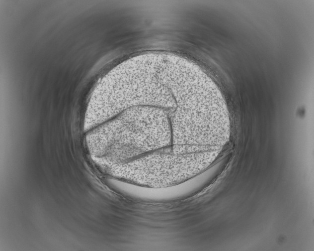 X0000116761450201001281602