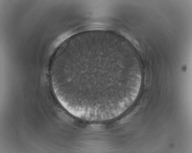 X0000116761453201001281602