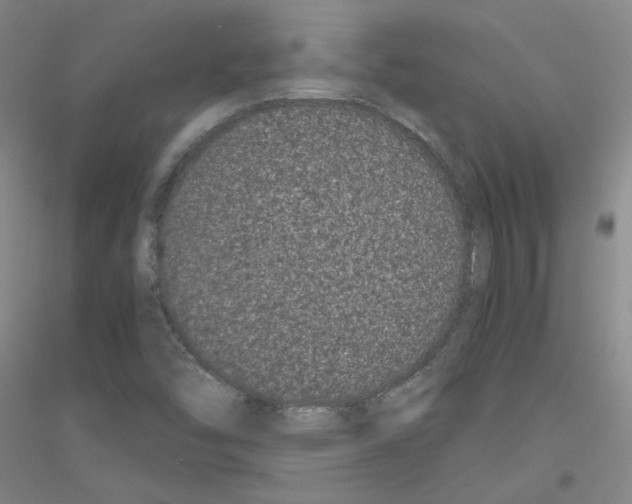 X0000116761454201001281602