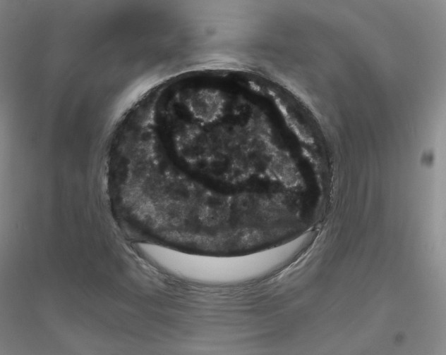 X0000116761455201001281602